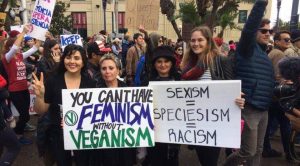 Feminism Veganism Feminismus Veganismus
